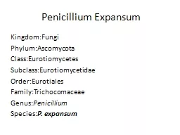 Penicillium Expansum
