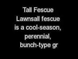Tall Fescue Lawnsall fescue is a cool-season, perennial, bunch-type gr