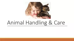 Animal Handling & Care