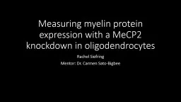 Measuring myelin protein expression with a MeCP2