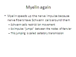 Myelin again