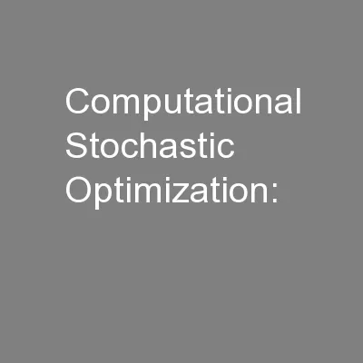 Computational Stochastic Optimization: