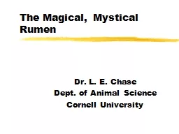 The Magical, Mystical Rumen