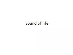 Sound of life