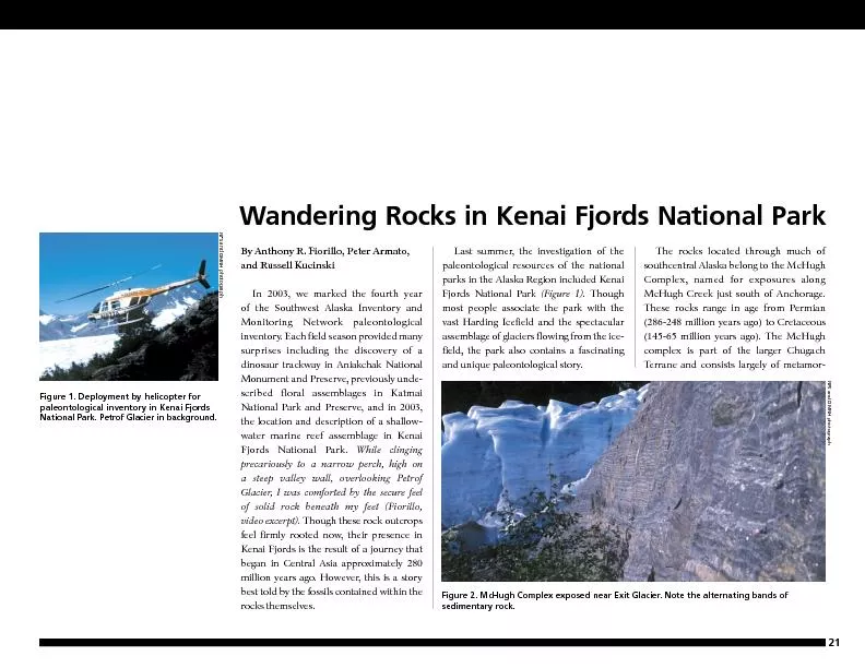 Wandering Rocks in Kenai Fjords National Park