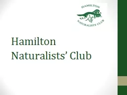 Hamilton Naturalists’ Club