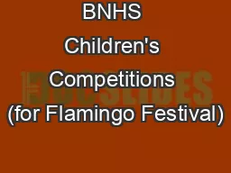 BNHS Children's Competitions (for Flamingo Festival)