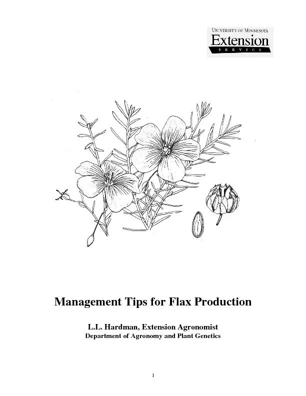 Management Tips for Flax Production  L.L. Hardman, Extension Agro