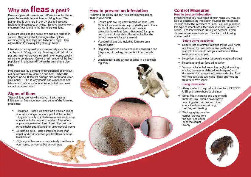 Fleas are parasitic insects and different species live on particular a