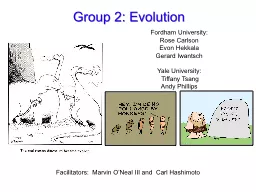Group 2: Evolution