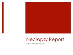 Necropsy Report