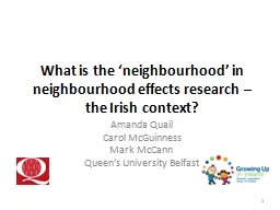 What is the ‘neighbourhood’ in neighbourhood effects re