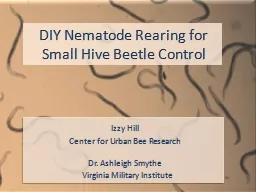 DIY Nematode Rearing for Small Hive Beetle Control