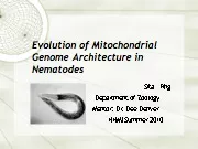 Evolution of Mitochondrial Genome Architecture in Nematodes