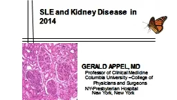 SLE and Kidney Disease