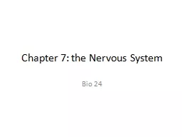 Chapter 7: the Nervous System