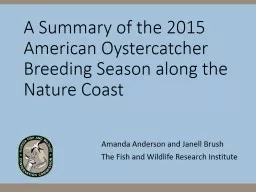 A Summary of the 2015 American Oystercatcher Breeding Seaso