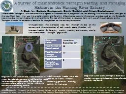 A Survey of Diamondback Terrapin Nesting and Foraging Habit