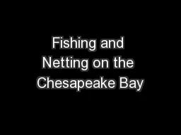 Fishing and Netting on the Chesapeake Bay