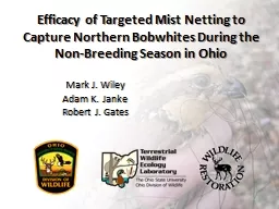 Efficacy of Targeted Mist Netting to Capture Northern Bobwh