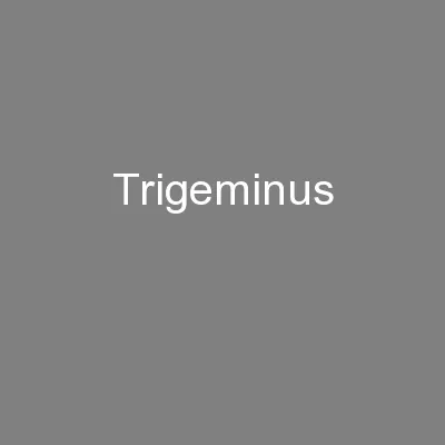 Trigeminus
