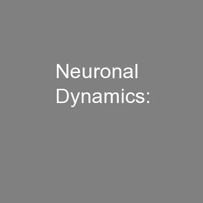 Neuronal Dynamics: