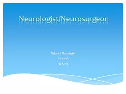 Neurologist/Neurosurgeon