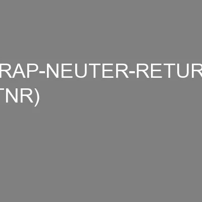 TRAP-NEUTER-RETURN (TNR)