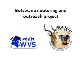 Botswana neutering and outreach project
