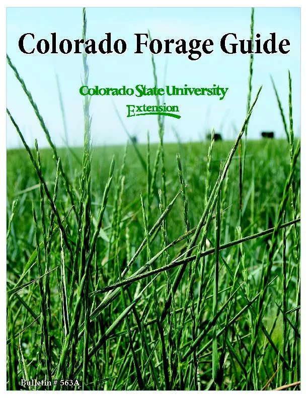 Colorado Forage Guide