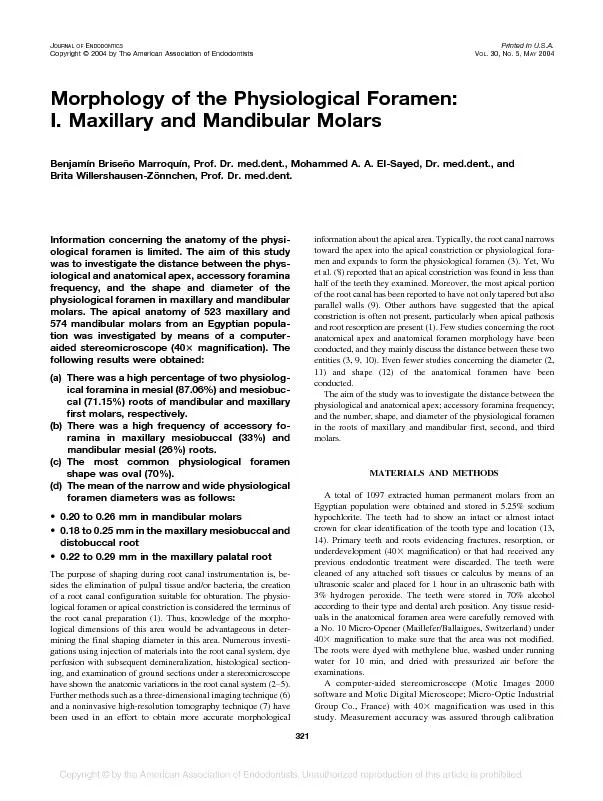 MorphologyofthePhysiologicalForamen:I.MaxillaryandMandibularMolars