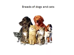 Breeds of dogs and cats