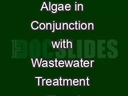 Production of Algae in Conjunction with Wastewater Treatment Tryg J