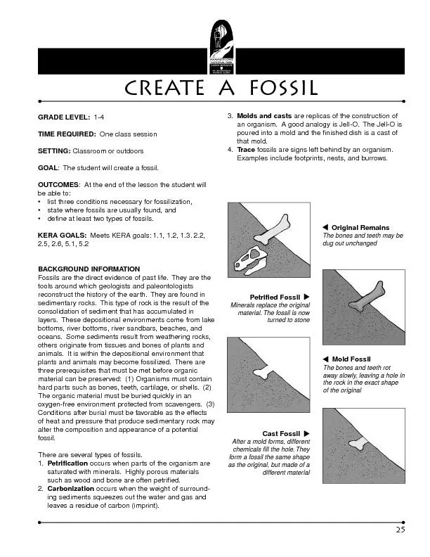 1-4TIME REQUIRED:  GOAL:  The student will create a fossil.be able t