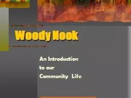 Woody Nook