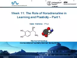 Week 11: The Role of Noradrenaline in