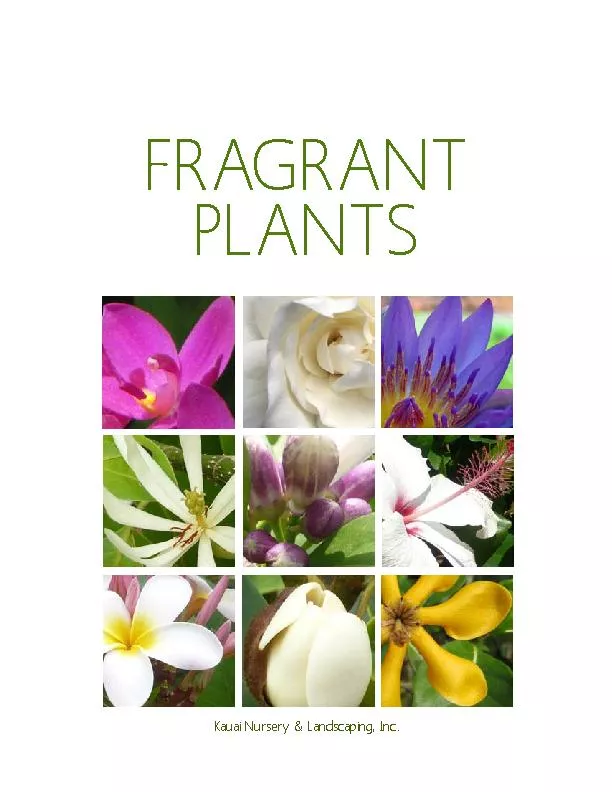 INTRODUCTIONFragrant flowered plants are a great addition to your gard