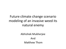 Future climate change scenario modeling of an invasive weed