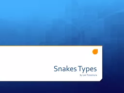 Snakes Types
