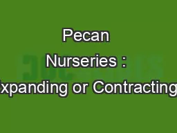 Pecan Nurseries : Expanding or Contracting?