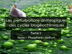 Les perturbations anthropiques des cycles biogéochimiques