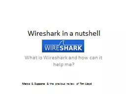 Wireshark in a nutshell
