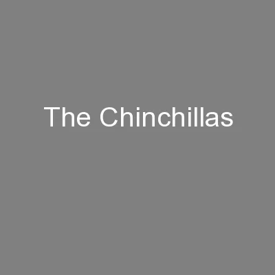 The Chinchillas