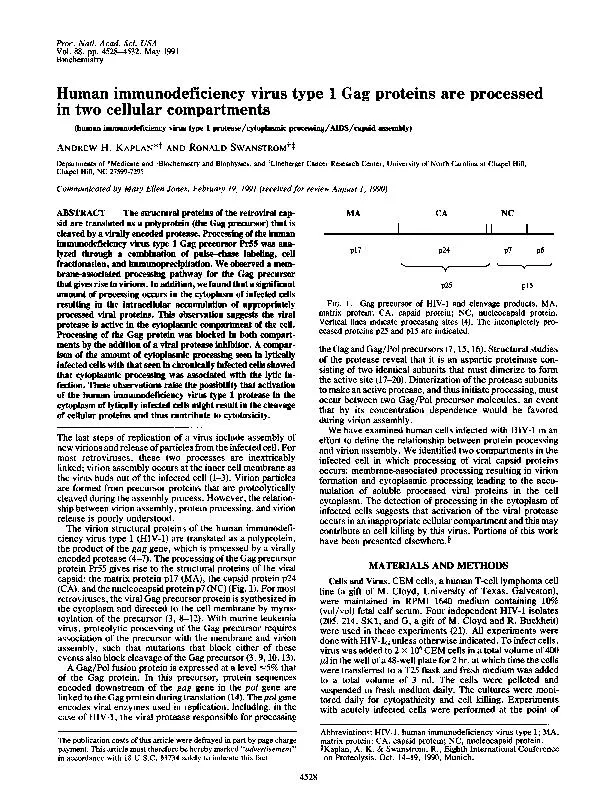 Proc.Nad.Acad.Sci.USAVol.88,pp.4528-4532,May1991BiochemistryHumanimmun
