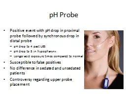 pH Probe