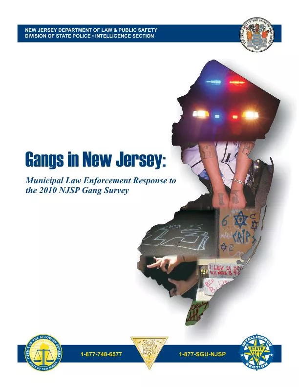 NEWJERSEYDEPARTMENTOFLAW&PUBLICSAFETYDIVISIONOFSTATEPOLICEINTELL