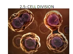 2.5: CELL DIVISION