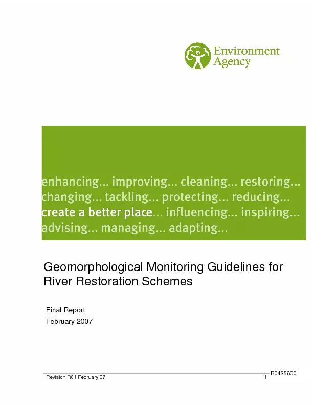 Geomorphological Monitoring Guidelines for River Restoration Schemes