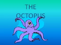 THE OCTOPUS