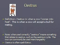 Oestrus